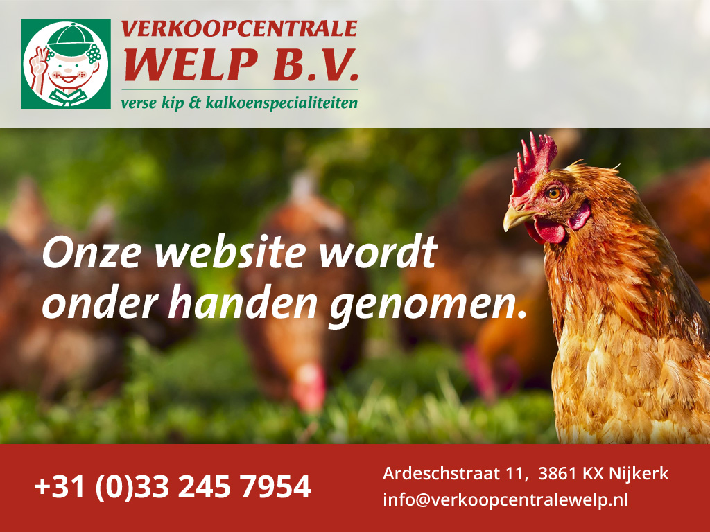 Onze website wordt onder handen genomen